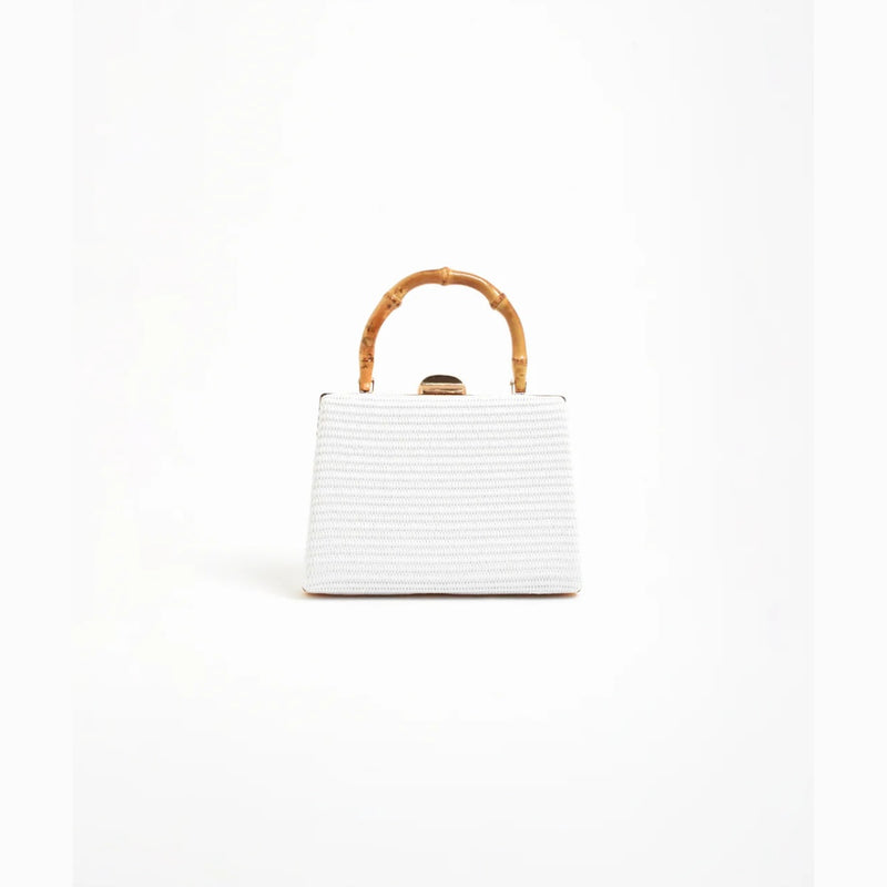 This mini bag has a woven exterior.